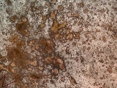 Professional black mold removal services in Little Rock - Little Rock Black Mold Removal
